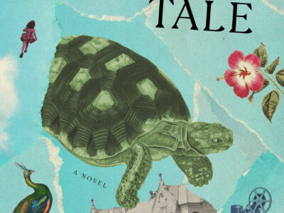 Download [PDF] Book The Tortoise's Tale by Kendra Coulter