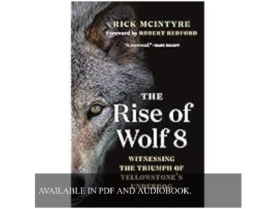 [PDF] Book Download The Rise of Wolf 8: Witnessing the Triumph of Yellowstone's Underdog (The Alpha Wolves of Yellowstone 1) by Rick McIntyre